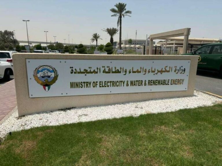 فاطمة-حياة:-'الحملات-المشتركة'-مستمرة-لتعقّب-الاستهلاك-الجائر-للكهرباء…-ولا-تهاون-مع-المخالفين