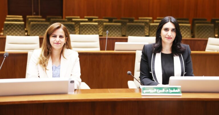 'البلدي'-اعتمد-تعديلات-البناء-بالمناطق-الزراعية-والثروة-الحيوانية