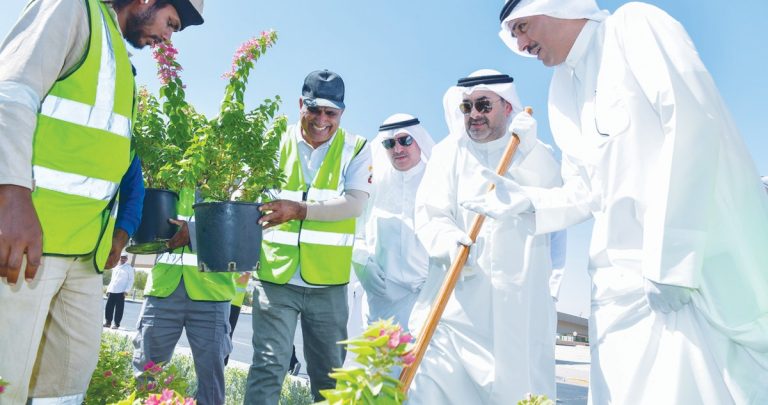 مبادرة-الزراعات-التجميلية-خطوة-نوعية-نحو-تعزيز-الاستدامة-البيئية