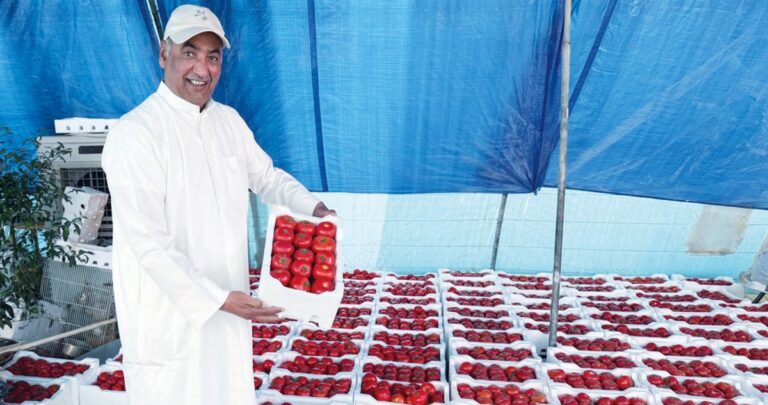 الخرينج:-العمل-الزراعي-المثمر-…-مفيد-وممتع-معاً