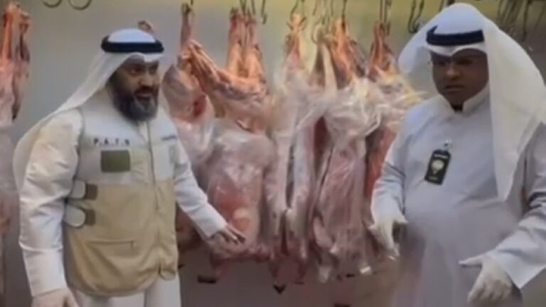 'إغلاق-فوري'-لمنشأة-بيع-أغنام-في-الشويخ