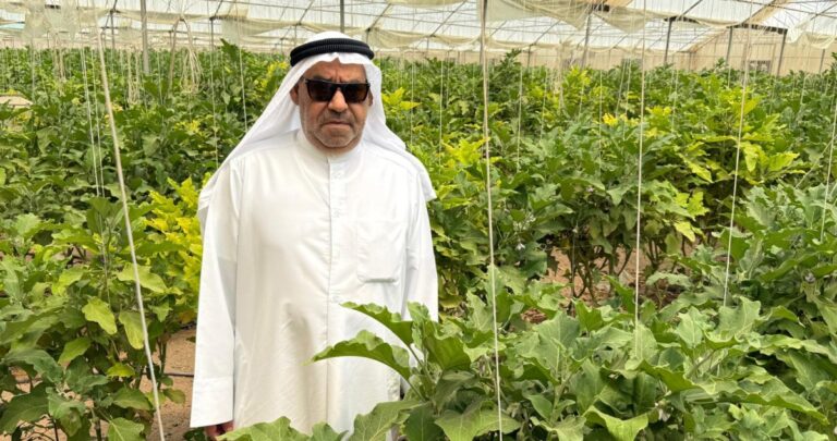 الجنفاوي:-الدعم-يصرف-متأخراً-والزراعة-'حظك-بختك'