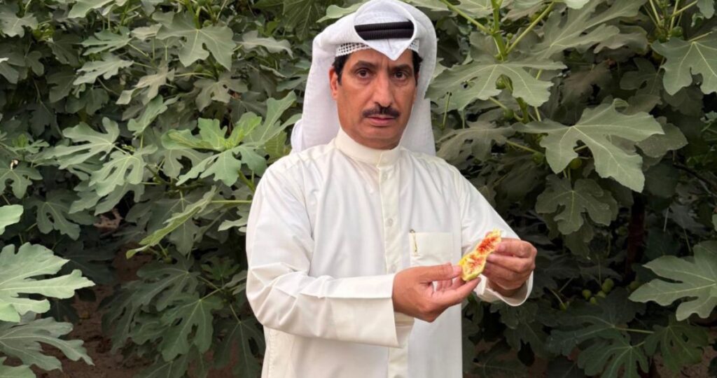 عيد-العازمي:-زراعة-الموز-ناجحة-في-الكويت