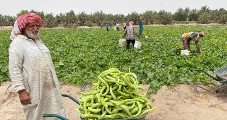 العمال-الزراعيون-القدامى-تكريمهم-واجب
