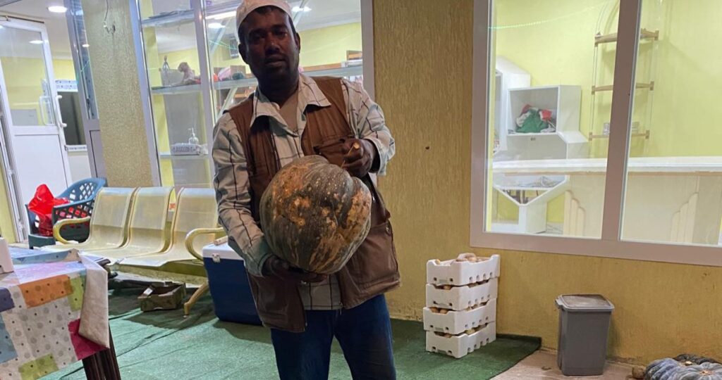 '-نقطة-تعريفية'-أمام-مزارع-وجيهة-في-العبدلي-والوفرة