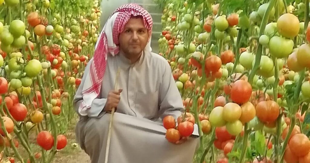 المطيري:-زراعة-الصيف-ضرورة-المحترف