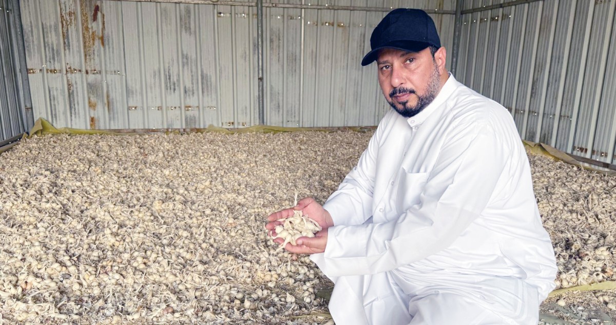 العازمي:-المزارعون-يكدّون-صيفاً…-ليستمتع-المستهلكون-شتاءً