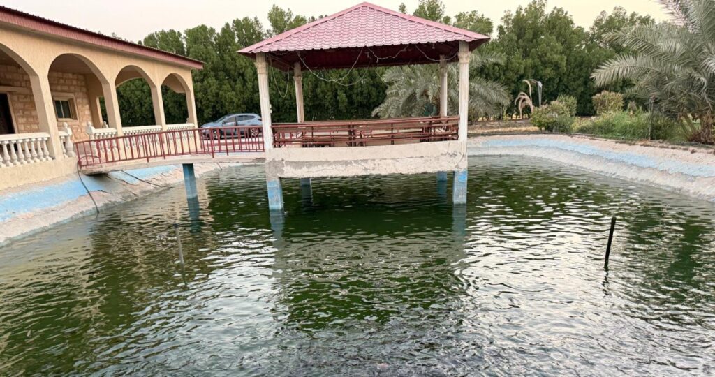 بركة-سمك-في-كل-مزرعة