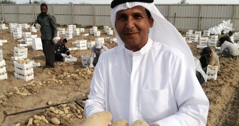 محمد-علي-المطيري:-سوق-واحدة-تحسّن-فرص-البيع
