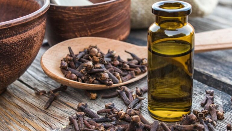ماء-القرنفل…-سر-طبيعي-لصحة-أفضل-وهضم-أسهل
