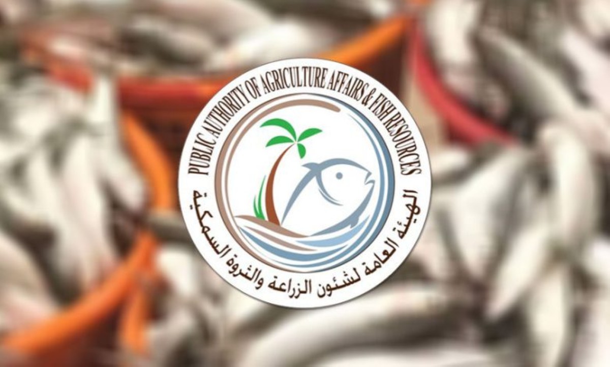 السماح-استثنائياً-بصيد-أسماك-'الميد'-داخل-جون-الكويت