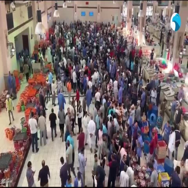 حصاد-صيد-'الميد'-في-'الجون'-ينعش-سوق-السمك