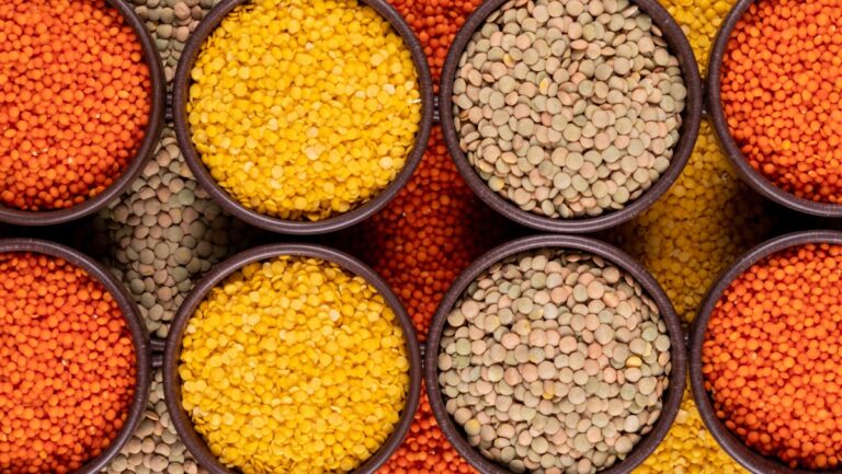 العدس…-غذاء-صغير-بفوائد-كبيرة