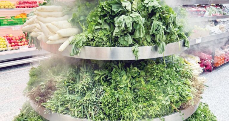 لا-تأكلوا-الورقيات-الخضراء-من-دون-تعقيم-وتنظيف-جيدين