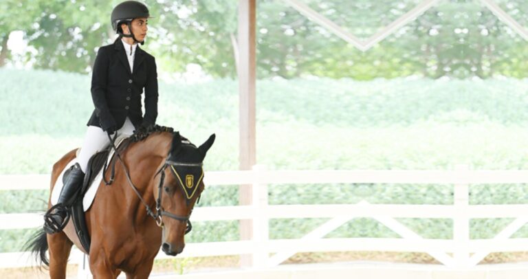 نورية-الصباح:-'الدريساج'-مشوّق