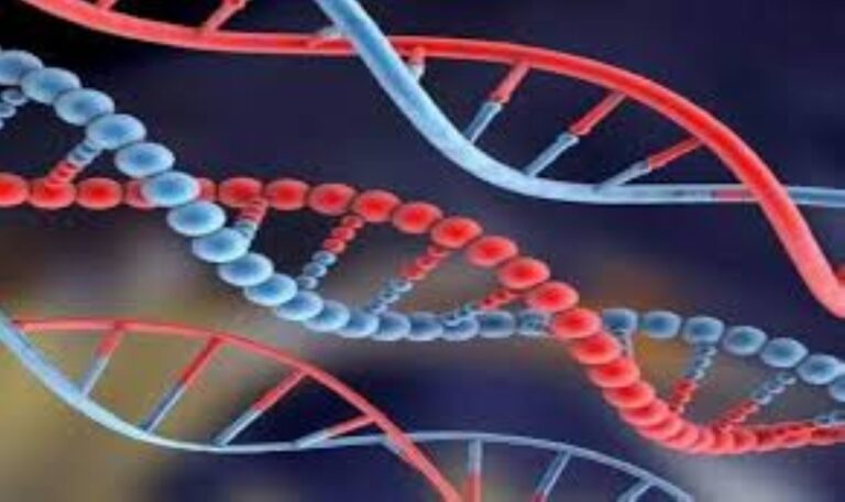 اختبارات-الحمض-النووي…-هوس-جديد-يجتاح-فرنسا-لمواجهة-الشيخوخة