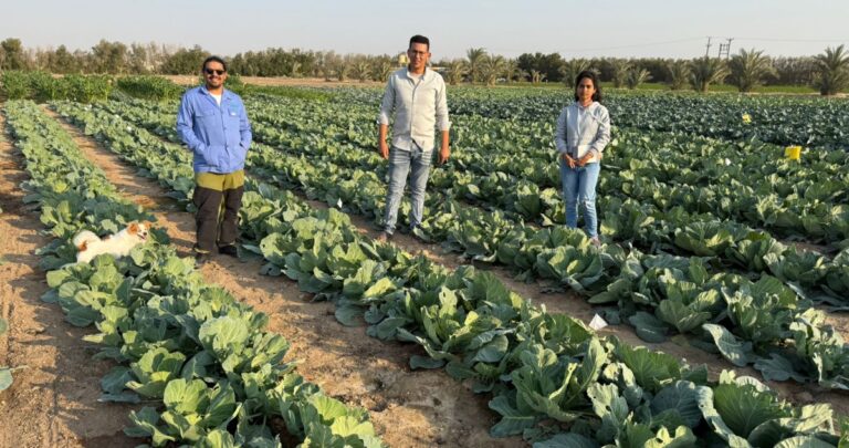 عبدالرحمن-الفريح:-الأبحاث-سرّ-تنوّع-المنتجات-وكثرتها