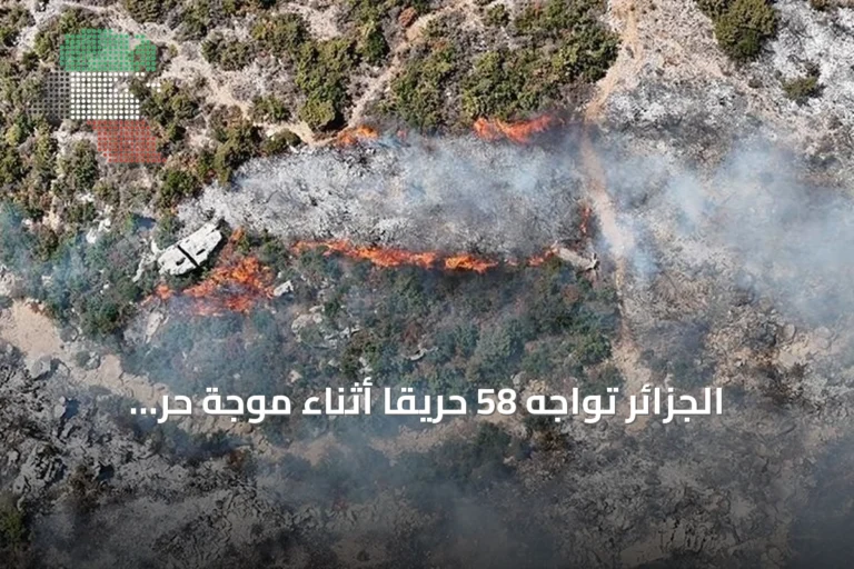 الجزائر تواجه 58 حريقًا أثناء موجة حر وتنفذ إجلاءات وقائية