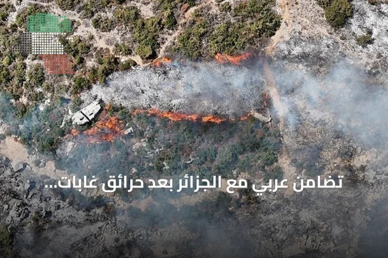 تضامن عربي مع الجزائر بعد حرائق غابات شرقي البلاد