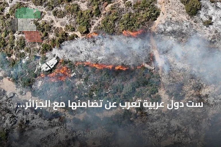 ست دول عربية تعرب عن تضامنها مع الجزائر بعد حرائق غابات أسفرت عن ضحايا