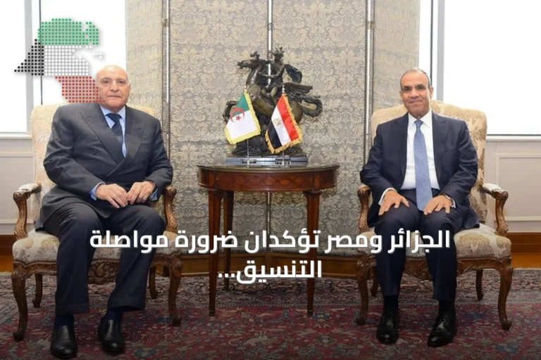 الجزائر ومصر تؤكدان ضرورة مواصلة التنسيق حول ليبيا وتعزيز العلاقات الثنائية