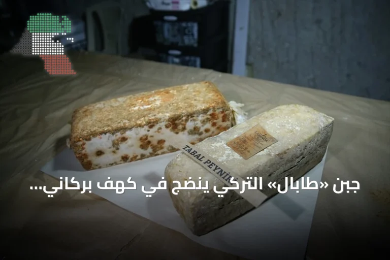 جبن «طابال» التركي ينضج في كهف بركاني بعمق 14 مترًا
