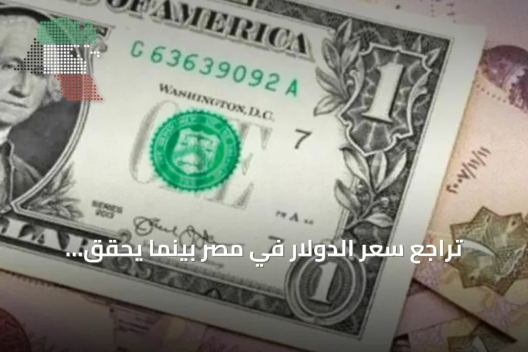 تراجع سعر الدولار في مصر بينما يحقق الاحتياطي الأجنبي مستوىً قياسياً