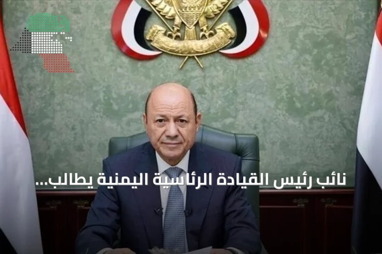 نائب رئيس القيادة الرئاسية اليمنية يطالب بحماية مضيق باب المندب