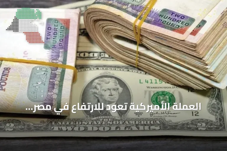 العملة الأميركية تعود للارتفاع في مصر وتقترب من 52 جنيهاً