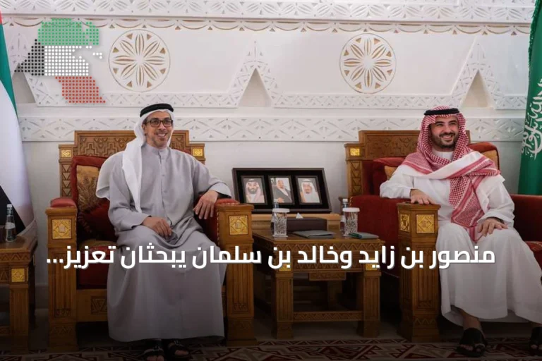 منصور بن زايد وخالد بن سلمان يبحثان تعزيز العلاقات الأخوية بين الإمارات والسعودية