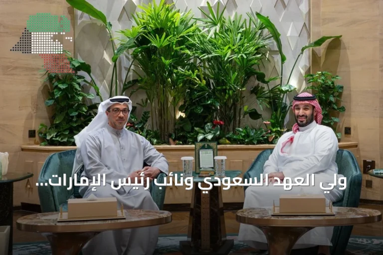 ولي العهد السعودي ونائب رئيس الإمارات يبحثان تطورات المنطقة في لقاء بالرياض