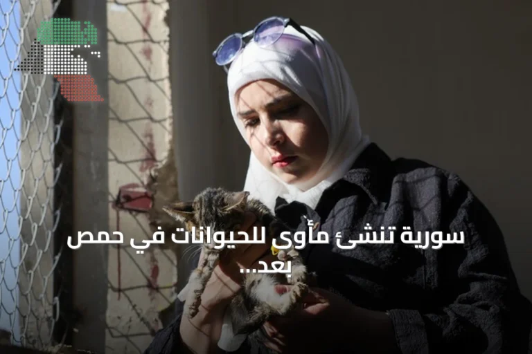 سورية تُنشئ مأوى للحيوانات في حمص بعد إنقاذ قطة مشلولة