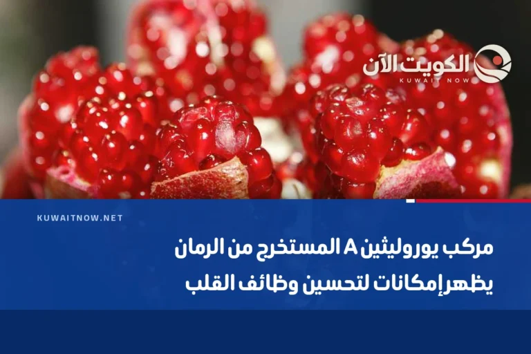 مركب يوروليثين A المستخرج من الرمان يظهر إمكانات لتحسين وظائف القلب