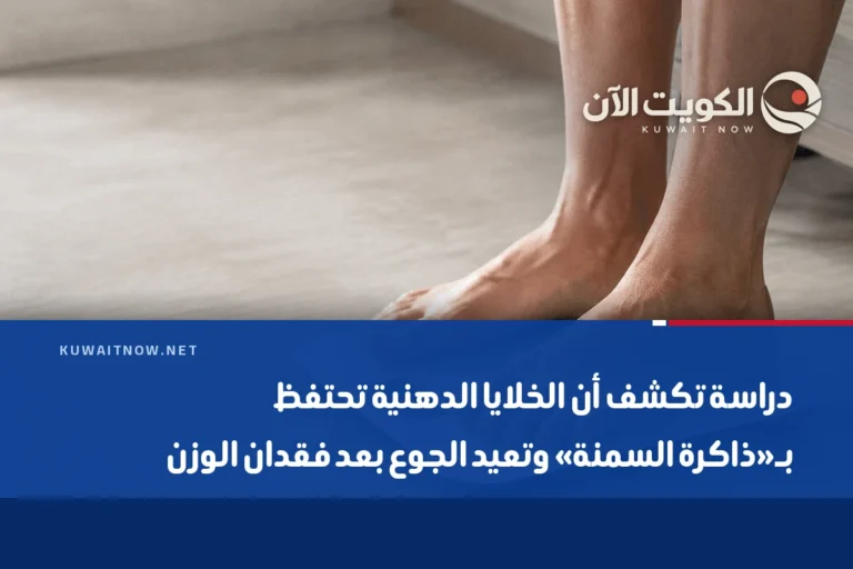 دراسة تكشف أن الخلايا الدهنية تحتفظ بـ«ذاكرة السمنة» وتعيد الجوع بعد فقدان الوزن