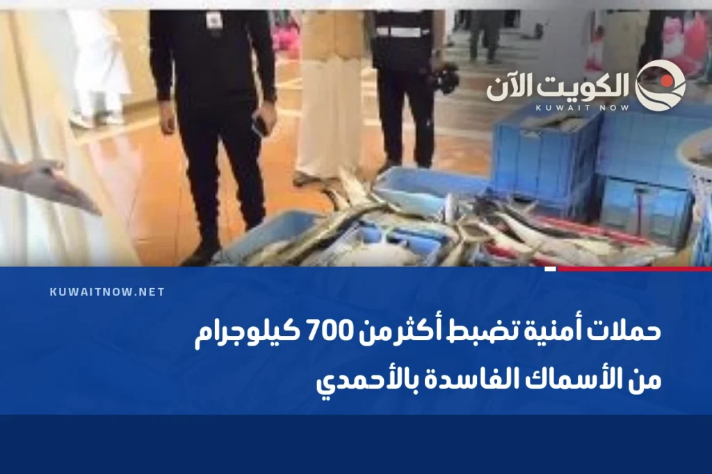 حملات أمنية تضبط أكثر من 700 كيلوجرام من الأسماك الفاسدة بالأحمدي