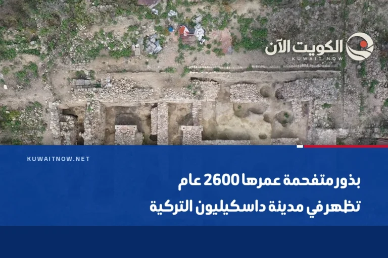 بذور متفحمة عمرها 2600 عام تظهر في مدينة داسكيليون التركية