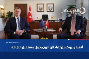 أنقرة وبروكسل تتبادلان الرؤى حول مستقبل الطاقة