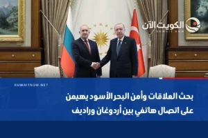 بحث العلاقات وأمن البحر الأسود يهيمن على اتصال هاتفي بين أردوغان وراديف