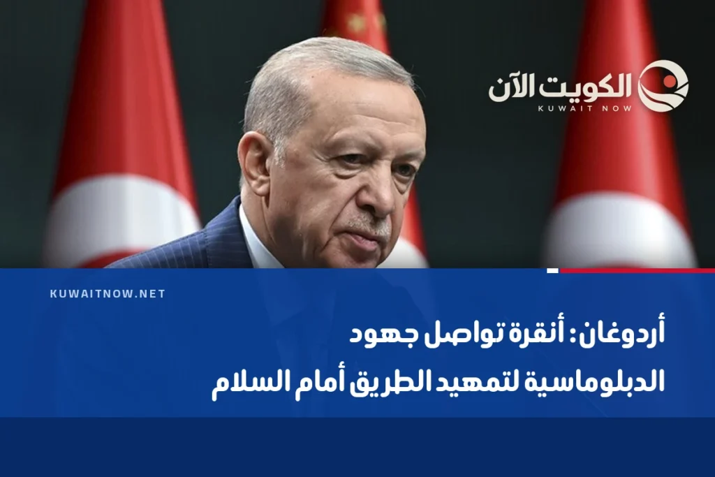 أردوغان: أنقرة تواصل جهود الدبلوماسية لتمهيد الطريق أمام السلام