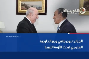 الجزائر: تبون يلتقي وزير الخارجية المصري لبحث الأزمة الليبية