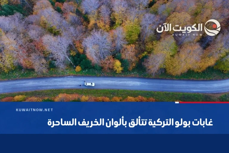 غابات بولو التركية تتألق بألوان الخريف الساحرة