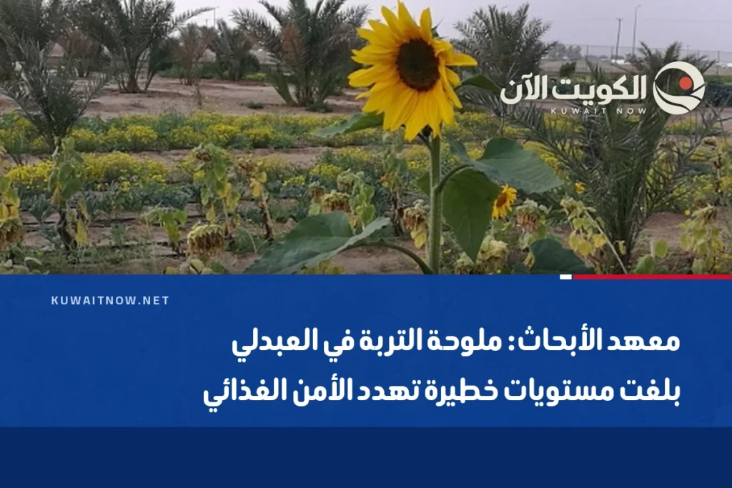 معهد الأبحاث: ملوحة التربة في العبدلي بلغت مستويات خطيرة تهدد الأمن الغذائي