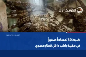 ضبط 30 تمساحاً صغيراً في حقيبة راكب داخل قطار مصري