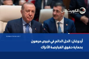 أردوغان: الحل الدائم في قبرص مرهون بحماية حقوق القبارصة الأتراك