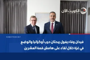 فيدان وفاديفول يبحثان حرب أوكرانيا والوضع في غزة خلال لقاء على هامش قمة العشرين